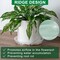 6-Pack 14-Inch Plastic Plant Saucers – Heavy-Duty Drip Trays for Indoor & Outdoor Potted Plants, Transparent Flower Pot Tray Protectors (Clear)